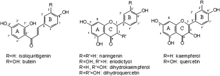 Chemical structures of selected 6’-deoxychalcones, flavanones, and dihydroflavonols.