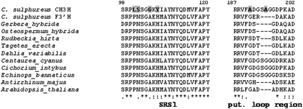 Alignment of selected regions of the CH3H and F3′H amino acid sequences. Bold letters on a grey background indicate amino acid residues only present in CH3H.