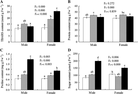 The contents of TBARS (A), proteins (B), proline (C), and soluble sugars (D) in male and female leaves of P. cathayana as affected by temperature (open squares, 25 °C; hatched squares, 15 °C; closed squares, 4 °C. Fs, sex effect; Ft, temperature effect; Fs×t, sex and temperature interaction effect; Fw, fresh weight. The bars with different letters are significantly different from each other (P ≤0.05). Each value is the mean ±SE (n=3).