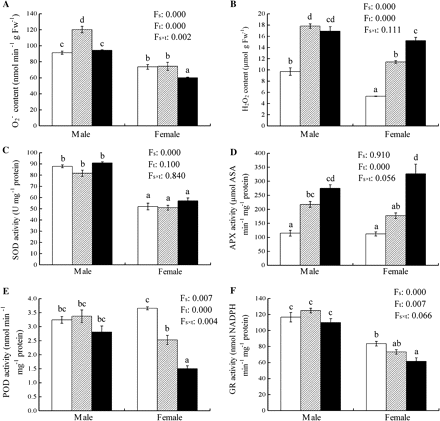 The production rate of O2− (A), H2O2 content (B), and the activities of SOD, APX, POD, and GR in male and female leaves of P. cathayana as affected by temperature (open squares, 25 °C; hatched squares, 15 °C; closed squares, 4 °C). Fs, sex effect; Ft, temperature effect; Fs×t, sex and temperature interaction effect; Fw, fresh weight. The bars with different letters are significantly different from each other (P ≤0.05). Each value is the mean ±SE (n=3).
