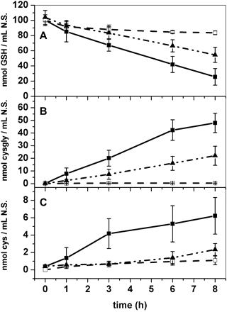 Timing of glutathione depletion from the incubation medium. Wild-type, with or without 10 mM serine/borate inhibitor, and ggt1 roots were incubated in 100 μM glutathione; the solution was sampled at different times and used for thiol quantification by HPLC analysis. (A) Glutathione content; (B) cysteinyl-glycine content; (C) cysteine content in the external solution. Data are expressed as nmol ml−1 solution. Filled squares, wild-type roots; filled triangles, ggt1 roots; open squares, wild-type roots with 10 mM serine/borate inhibitor (n=10).