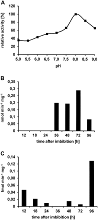 Analysis of PLase A2 and TGL activity. (A) Analysis of the pH optimum of recombinant CsPAT acting on PC. PLase A2 activity was measured by incubation of affinity-purified CsPAT with 2-linoleoyl-PC at various pH values, followed by determining the release of linoleic acid using reversed-phase HPLC. Relative activity was calculated based on the highest value at pH 8. (B) PLase A2 activity at isolated lipid bodies incubated with 14C-labelled PC. (C) TGL activity at isolated lipid bodies incubated with 14C-labelled triolein. Activity was detected by TLC and quantified by 2D densitometry. Activities are given per mg lipid body fresh weight (B and C). Data represent the mean of two independent experiments.