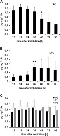Profile of lipid body membrane phospholipids during germination. Phospholipids were extracted from isolated lipid bodies and subjected to TLC. Individual phospholipids were quantified by 2D densitometry: (A) PC; (B) lyso-PC; (C) PE, PI, and PS. Amounts are given in μg mg−1 lipid body fresh weight. Data shown are the means of three independent experiments. For PS, data from two experiments are available. The standard deviation is given. *P=0.098;**P=0.037 by Student's t-test.