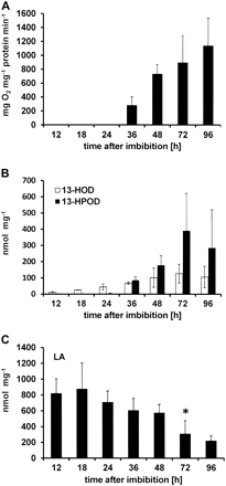 Analysis of LOX activity, product accumulation, and substrate consumption during germination. (A) LOX activity at isolated lipid bodies measured polarographically with an oxygen electrode. (B) The LA-derived LOX product 13-H(P)OD determined by transmethylation of the lipid extract from isolated lipid bodies, purification via reversed-phase HPLC, and subsequent separation by straight-phase HPLC. (C) LOX substrate LA in TAGs of lipid bodies analysed by transmethylation of lipid extract from isolated lipid bodies and following GC. Amounts are given in nmol mg−1 lipid body fresh weight (B and C). Data shown are the means of three (A and B) and four independent experiments (C), respectively. The standard deviation is given. *P=0.037 by Student's t-test.