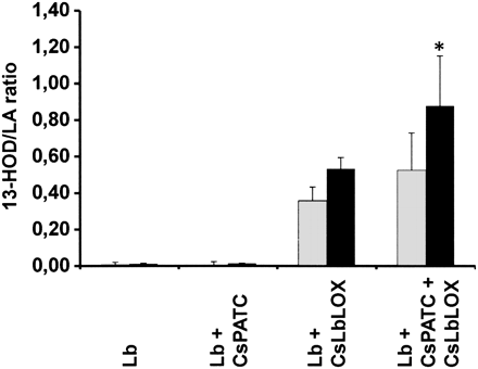 In vitro analysis of the interaction of recombinant CsLbLOX and recombinant CsPAT. Lipid bodies (Lb) of seeds imbibed for two hours were incubated with CsLbLOX and/or C-terminal His-tagged CsPAT (CsPATC), as indicated, for 120 min. Lipids were extracted, separated into phospho- and neutral lipids, lipid hydroperoxides were reduced, transmethylated, and the 13-hydro(pero)xylinoleic acid/linoleic acid ratio (13-H(P)OD/LA ratio) was determined by reversed-phase HPLC. Ratios of the TAG fraction are shown as grey bars and ratios of the phospholipid fraction are shown as black bars. Data shown represent the mean of three independent experiments. The standard deviation is given. *P=0.00009 by Student's t-test.
