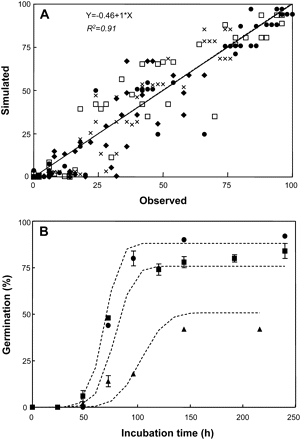 (A) Relationship between observed germination percentages of embryos with MCs of 0.1 and 0.12 g H2O g−1 dw stored at 15 °C (black diamonds), 20 °C (crosses), 25 °C (white squares), and 30 °C (black circles) for different time periods, and freshly harvested embryos (black triangles), and simulated germination percentages using equations 6 to 9. The solid line represents 1:1 relationship and the dashed line corresponds to the fitted linear equation. (B) Observed percentage germination kinetics for embryos with MCs of 0.12 g H2O g−1 dw stored at 30 °C for 1 (triangle), 2 (square), and 3 (circle) weeks. Dashed lines correspond to simulated dynamics using equations 6 to 9. Vertical bars indicate standard error.