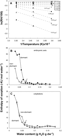 (A) van't Hoff plots, obtained from water sorption isotherms, as shown in Fig. 7, of axes excised from dormant embryos. Axes MCs are indicated on the regression lines. (B, C) Relationship between water content of axes (B) and cotyledons (C) excised from dormant and non-embryos and the apparent water sorption enthalpy (ΔHsorp), calculated from the slopes of van't Hoff isochors similar to those given in (A). Arrows within (B) and (C) show the onset of the –ΔHsorp increase.