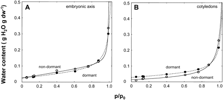 Observed seed water contents (circles) at various relative vapour pressures (p/p0) and fitted patterns (lines) of the simplified water sorption model of D'Arcy and Watt at 15 °C for axes (A) and cotyledons (B) excised from dormant and non-dormant embryos. Equations of the fitted curves are as follows: y=(0.02418)+(0.049181)×x+(0.957152)×(0.012564)×x/(1(0.957152)×x) dormant axes; y=(0.025397)+(0.094832)×x+(0.994261)×(0.003611)×x/(1-(0.994261)×x), non-dormant axes; y=(0.028115)+(0.032127)×x+(0.946626)×(0.010466)×x/(1–(0.946626)×x), dormant cotyledons; y=(0.013098)+(0.013446)×x+(0.944572)×(0.016282)×x/(1–(0.944572)×x), non-dormant cotyledons.