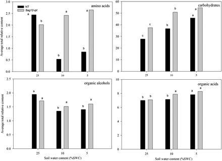 Total relative content of the major metabolite groups based on comparison with ribitol as an internal standard and total area of peaks within a given treatment for null transformant (NT) and SAG12-ipt transgenic creeping bentgrass leaves in response to drought stress. LSD bars and different letters indicate significant differences at each level of soil water content (% SWC) within a plant type (P ≤ 0.05).