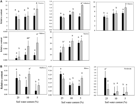 Relative carbohydrate content based on comparison with ribitol as an internal standard and total area of peaks within a given treatment generally (A) increased or (B) either reduced or oppositely accumulated in leaves of null transformant (NT) and SAG12-ipt transgenic creeping bentgrass in response to drought stress. Vertical bars indicate the SEM. Different letters indicate significant differences due to soil water content (% SWC) within a plant type, and asterisks indicate significant differences at a given level of SWC between plant types (P ≤ 0.05). Note the y-axis scaling differences for ease of comparison among treatments of a given metabolite.