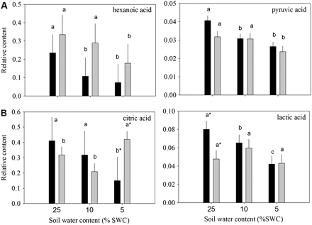 Relative content of organic acids based on comparison with ribitol as an internal standard and total area of peaks within a given treatment generally (A) reduced or (B) oppositely accumulated in leaves of null transformant (NT) and SAG12-ipt transgenic creeping bentgrass leaves in response to drought stress. Vertical bars indicate the SEM. Different letters indicate significant differences due to soil water content (% SWC) within a plant type and asterisks indicate significant differences at a given level of SWC between plant types (P ≤ 0.05). Note the y-axis scaling differences for ease of comparison among treatments of a given metabolite.