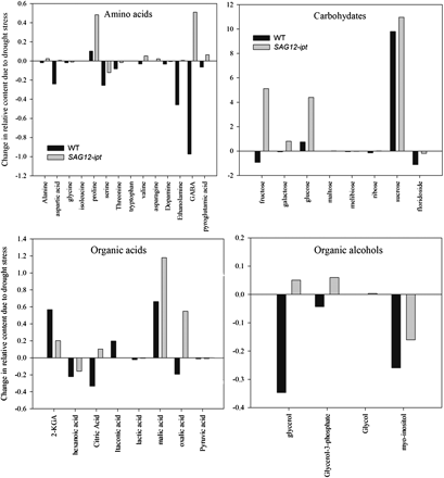 Relative content based on comparison with ribitol as an internal standard and total area of peaks within a given treatment expressed as a change in content from the control condition to 47% leaf relative water content (RWC) of null transformant (NT) and SAG12-ipt transgenic creeping bentgrass leaves in response to drought stress.