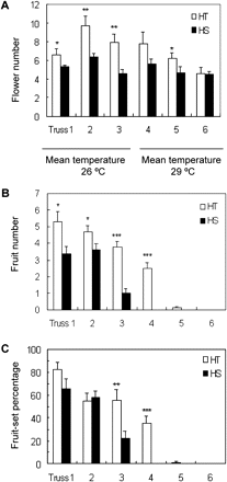 Comparison of flower (A) and fruit (B) numbers and fruit-set percentages (C) between field-grown HT and HS lines. Fruits from trusses 1–3 were set in June 2009 with a daily mean temperature of 26 °C (moderate temperature), while fruits from trusses 4–6 were set in July with daily mean temperature of 29 °C (high temperature). Each value is the mean ± SE from 10 biological replicates. An asterisk indicates a significant difference between the two lines at a given truss position (Student’s t test, *P < 0.05; **P < 0.01, ***P < 0.001).