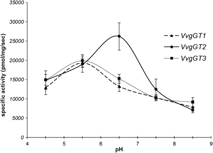 Effect of pH on in vitro activity of the three VvgGTs with gallic acid as substrate. VvgGT1, dashed line and triangles; VvgGT2, continuous line and circles; VvgGT3, dotted line and squares. Each point represents the mean of three assays ± standard deviation. Reaction product is mostly produced between pH 5.5 and 6.5.