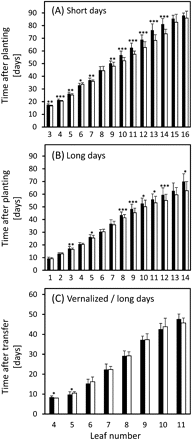 Leaf emergence under short-day (A, 10 h), long-day (B, 16 h), and vernalized/long-day conditions (C). Time points of full leaf emergence (see Materials and methods) are shown for ‘Karl’ (filled columns) and ‘10_11’ (open columns) in days after planting (A, B) and in days after transfer from the vernalization chamber (C). Means and standard deviations are shown. Student's t tests were performed to determine significant differences between ‘Karl’ and ‘10_11’. *P <0.05; **P <0.01; ***P <0.001. Data in (B) are from Lacerenza et al. (2010) modified.