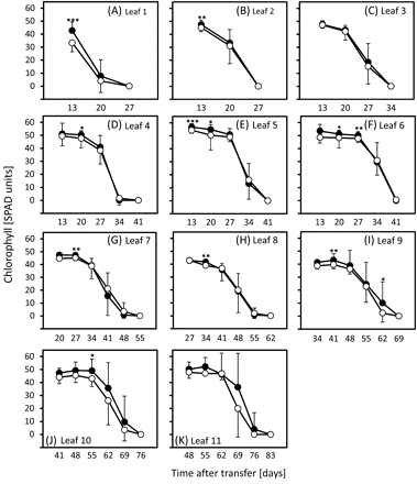 Chlorophyll levels in leaves of vernalized/long-day-grown plants. Chlorophylls were compared in leaves 1 (A, oldest leaf) to 11 (K) of ‘Karl’ (filled circles) and ‘10_11’ (open circles) as outlined in the Materials and methods. Means and standard deviations (on one side only for clarity) are shown. Student's t tests were performed to determine significant differences between ‘Karl’ and ‘10_11’. *P <0.05; **P <0.01; ***P <0.001.