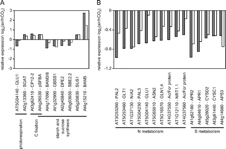 Transcripts encoding proteins associated with photorespiration, carbon fixation, and sucrose and starch synthesis that were differentially expressed 2 d and 4 d after transfer from growth at high CO2 to air. Transcripts with P-values <0.05 and fold changes (log2) of >0.5 and less than –0.5 are shown. Grey bars, 2 d after transfer; white bars, 4 d after transfer. A, carbon metabolism; B, nitrogen and sulphur metabolism.