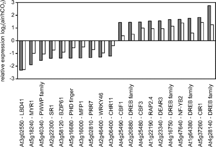 Transcripts encoding the 10 most repressed or induced transcription factors 2 d and 4 d after transfer from growth at high CO2 to air. Grey bars, 2 d after transfer; white bars, 4 d after transfer.