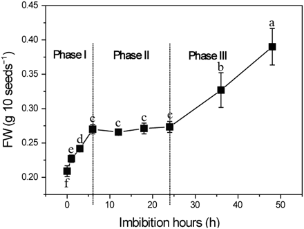 Time course of germination of dehulled rice seeds. Seeds were directly sown on sterile filter paper in 5 cm Petri dishes and placed in a growth chamber in continuous darkness at 28 °C to facilitate germination. Seeds were weighed at various time points. Values are means ±SD (n=5). Means denoted by the same letter did not differ significantly at P < 0.05 according to Duncan’s multiple range test.