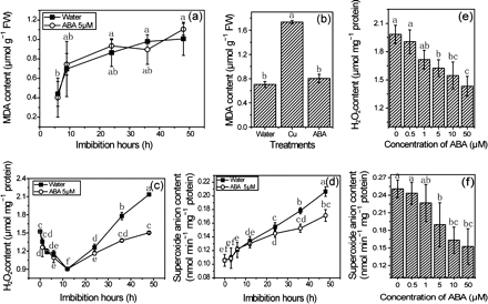Effects of ABA treatment on MDA content (a, b), H2O2 content (c, e), and superoxide anion (d, f). Seeds were sown on filter paper with ABA and Cu solutions for imbibition. Seed samples were collected at various times and used for measurements of MDA, H2O2, and superoxide anion as rapidly as possible. For concentration experiments, seeds imbibed for 36 h were used for the measurements. Error bars show ±SD (n=5). Means denoted by the same letter did not differ significantly at P < 0.05 according to Duncan’s multiple range test.