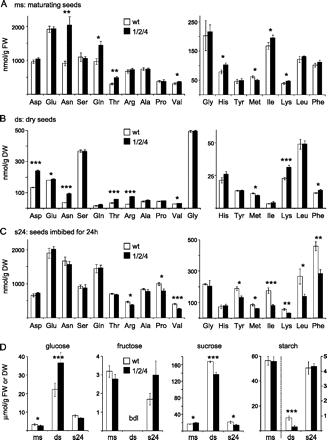 Amino acid and sugar content during seed maturation of the oep16 triple mutant and wild type. Metabolites were determined in maturing seeds (ms), dry seeds (ds), and seeds imbibed for 24 h (s24) of the oep16.1/2/4 triple mutant and corresponding wild type (black and white bars, respectively). Maturing seeds correspond to stages 7–10 as depicted in Fig. 4A. Data represent mean values of independent biological replicates (n=3–4, ±SD). Please note that while concentrations for maturing seeds are given per gram of tissue fresh weight (FW), they are related to dry weight (DW) for dry and imbibed seeds. Significance analysis was performed by a Student’s t-test with P-values <0.05 (*); <0.01 (**); and <0.005 (***), respectively. For complete data sets see Supplementary Table S3 at JXB online. (A–C) Amino acid concentration (nmol/g FW or DW). Tryptophan and cysteine were not determined. (D) Glucose, fructose, sucrose, and starch (μmol/g FW or DW). Fructose values in dry seeds were below the detection limit (bdl) of the analysis. For starch, the right y-axis is scaled for concentrations in dry and imbibed seeds.