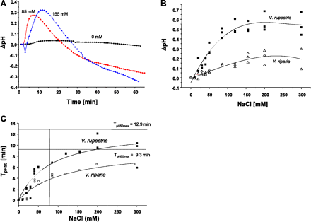 Response of apoplastic pH to NaCl in grapevine cells. (A) Representative time course for V. rupestris. (B) Dose–response curves for the maximal pH change with salt concentration. (C) Kinetic analysis of pH responses in V. rupestris (filled squares, solid lines) and V. riparia (open squares, dotted lines). The half-maxima of pH to increasing concentrations of NaCl were fitted by a Michaelis–Menten function. TpH50max is defined as time to reach 50% of the maximal response. (This figure is available in colour at JXB online.)