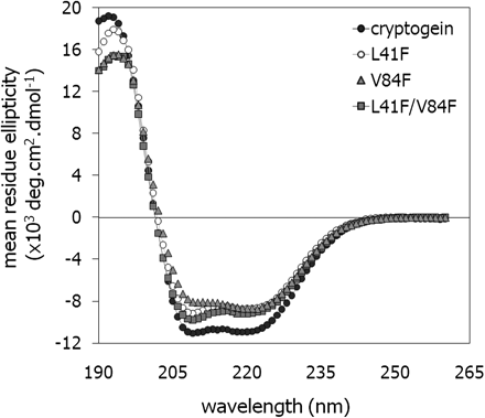 Analysis of secondary structures of elicitins. Far-UV circular dichroism spectra of wt cryptogein (filled circles), the V84F mutant (filled triangles), the L41F mutant (open circles), and the L41F/V84F double mutant (filled squares). Protein concentration: 0.2 mg ml−1, solvent: water, light path: 0.1 cm, room temperature.