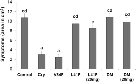 Induction of resistance against Phytophthora parasitica in tobacco plants. Leaves from 8-week-old tobacco plants treated with elicitins were inoculated with zoospores of P. parasitica. The invaded areas were measured 3 d after inoculation. Each bar represents the standard error of four replicates from three different experiments. A replicate corresponds to eight inoculated areas on four leaves from one plant. Student’s t test with P=0.01 was used to determine whether differences in area were statistically significant. Different letters represent significant difference. Cry, wt cryptogein.