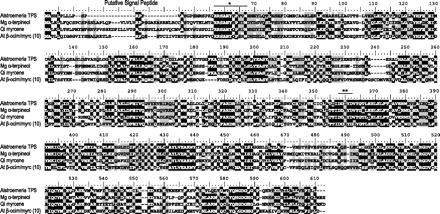 Alignment of deduced amino acid sequences of AlstroTPS with three closely related sequences: Magnolia α-terpineol synthase, Quercus myrcene synthase, and Arabidopsis myrcene/ocimene synthase, TPS10 (protein accession nos ACC66282, CAC41012, and NP_179998, respectively). * indicates the conserved R(R)X8W motif; ** indicates the conserved DDXXD motif.