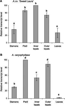 Spatial analysis of AlstroTPS gene expression in flower organs and leaves of (A) Alstroemeria cv. ‘Sweet Laura’ and (B) A. caryophyllaea, evaluated by semi-quantitative RT-PCR. Mean values (±SE, n=3) are expressed as a percentage of the maximum peak value and normalized against 18S rRNA.