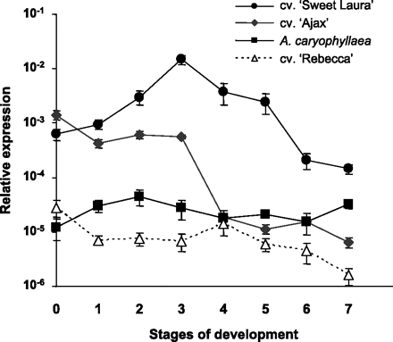 Developmental analysis of AlstroTPS gene expression in tepals of cvs. ‘Ajax’ ‘Sweet Laura’, ‘Rebecca’, and A. caryophyllaea, evaluated by quantitative real-time RT-PCR. Filled symbols, scented genotypes; open triangles, non-scented ‘Rebecca’. The eight developmental stages are described in the Materials and methods. Mean values (±SE, n=12) are given, following normalization with 18S rRNA transcript values (y-axis in log scale).