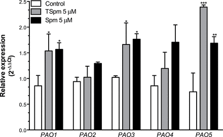 Expression of Arabidopsis PAO genes in response to exogenously added TSpm. qRT-PCR was used to analyse the abundance of mRNAs of all known PAO genes (PAO1–PAO5). Results are mean ± SD of three replicates. Asterisks indicate statistically significant differences in the expression of each gene between polyamine-amended plants and controls as analysed with the REST software (*, P ≤ 0.05; **, P ≤ 0.01; ***, P ≤ 0.001).