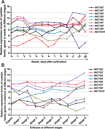 Transcript levels of cystatin family genes in seeds at different developmental stages. The expression level was normalized to the average expression level of GAPDH (AJ133422), polyubiquitin (GQ281244), and elongation factor 1α (AF120093). The data represent fold change (log2 value). (This figure is available in colour at JXB online.)