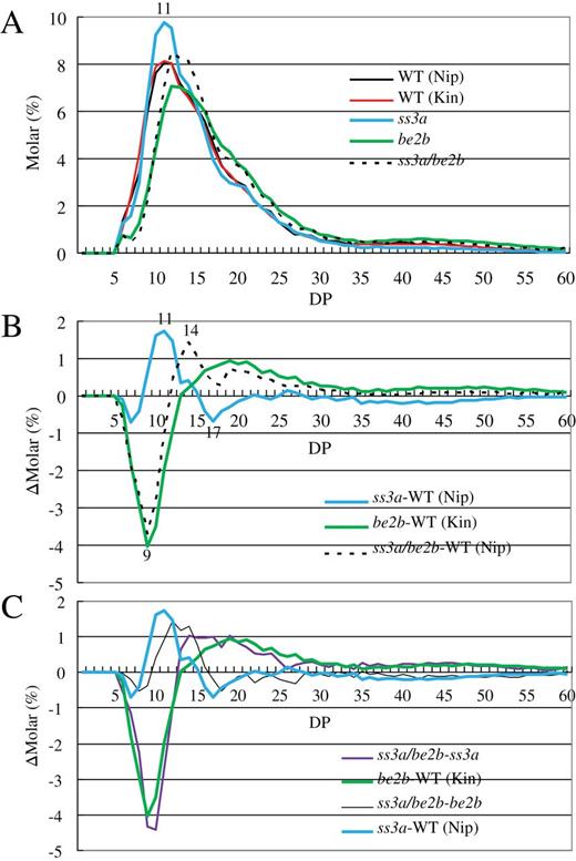 Analysis of amylopectin molecular structure by capillary electrophoresis. (A) Chain-length distribution patterns of amylopectin in mature endosperm. (B) Differential plots between mutant and wild-type lines. (C) Differential plots between the ss3a/be2b mutant and parental mutant lines. The numbers on the plots represent the DP values. Each figure shows one representative data set (one of at least three replicates using varied preparations from different rice seeds of homogenous plants). The relative standard error of molar % of each chain length in the range of DP5–60 was <5.7%. DP, degree of polymerization; Kin, Kinmaze; Nip, Nipponbare; WT, wild type.