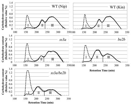 Size separation of debranched endosperm starch and purified amylopectin. Gel filtration chromatography was performed on debranched endosperm starch and purified amylopectin from the ss3a/be2b mutant, parental mutant, and wild-type lines. Each graph shows the typical elution profiles of isoamylase-debranched starch (dotted lines) and purified amylopectin (solid lines). Each fraction (Fr. I, II, and III) is separated according to the carbohydrate content curve determined by refractive index detectors (left y-axis). The panels show one typical data set (one of at least three replicates prepared from purified starches and amylopectin). Kin, Kinmaze; Nip, Nipponbare; WT, wild type.