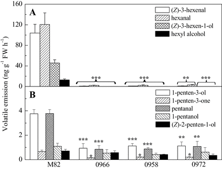 Reduced TomloxC expression in fruits decreases C5 and C6 volatile emissions in ripe fruits. (A) Concentrations of C6 compounds [hexanal, (Z)-3-hexenal, hexyl alcohol, and (Z)-3-hexen-1-ol] in wild-type (M82) and three LoxC-AS lines. (B) Concentrations of C5 volatiles [1-penten-3-ol, 1-penten-3-one, pentanal, 1-pentanol, and (Z)-2-penten-1-ol]. Values are mean ± standard error. Significant differences are indicated with asterisks above the bars: *P ≤ 0.05, **P ≤ 0.01, ***P ≤ 0.001.