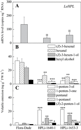 LeHPL downregulation decreases C6 volatiles and increases C5 fruit volatiles. (A) LeHPL transcript levels in fruits from wild type (Flora-Dade) and two transgenic lines. (B) C6 volatile emissions from ripe fruits. (C) C5 volatile emissions from ripe fruits. Values are mean ± standard error. Significant differences are indicated with asterisks above bars: *P ≤ 0.05, **P ≤ 0.01, and ***P ≤ 0.001.