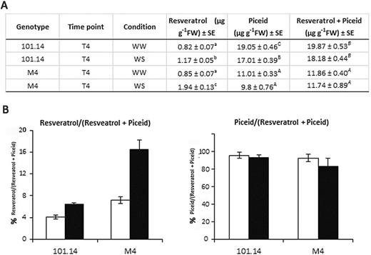 (A) Quantification of trans-resveratrol and trans-piceid in 101.14 and M4 roots at T4 in well-watered (WW) and water stress (WS) conditions. (B) Percentage of resveratrol and piceid fraction with respect to their sum in WW (withe bars) and WS (black bars) conditions. Values are calculated as the mean (n=4). Vertical bars indicate the standard error (SE). Letters indicate statistical differences in (two-tailed unpaired) Student’s t-test at P<0.01.