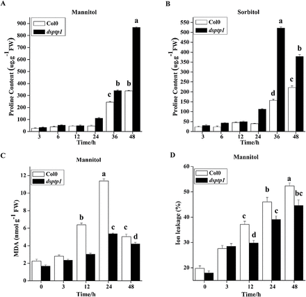 The dsptp1 mutant affects the physiological index under osmotic stress.