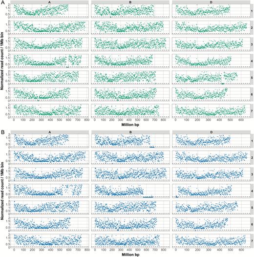 The size and position of deletions in two Paragon mutant lines. The two Paragon deletion mutant lines, A1 (A) and D4 (B), which were crossed to generate the B-granule-less mutant were exome sequenced. The graphs show the number of counts (normalized against Paragon wild type) on the y-axis against the chromosomal position (IWGSC RefSeq v1.0) of the read (in million base pairs) on the x-axis. The dotted line represents the 0.1 normalized coverage cut-off. For each panel, the rows show chromosomes 1–7 (top to bottom, respectively) and the A-genome data are shown on the left, the B-genome in the middle, and the D-genome on the right. Deletions are indicated by regions of reduced counts. Deletions in line A1 are on Chr 1B, 4A, 5D, and 6A and in line D4 on Chr 1A, 1B, 4B, 4D, 6D, and 7A. (This figure is available in colour at JXB online.)
