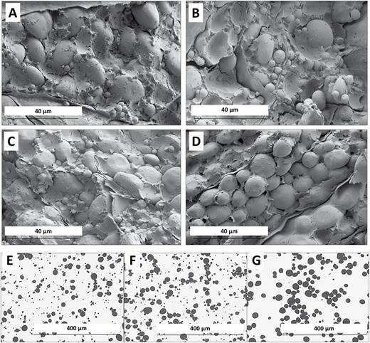 Microscopy of mature endosperm and purified starch granules. (A–D) Mature grains observed by SEM. (A) Wild type: Paragon. (B) A1 single deletion mutant. (C) D4 single deletion mutant. (D) AD double deletion mutant. (E–G) Purified starch observed by light microscopy. (E) Paragon. (F) Control (wild-type segregant). (G) AD double deletion mutant.
