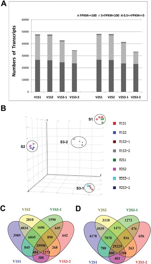 Global gene expression profiling in early seed development stages. (A) Numbers of detected transcripts in each sample. (B) Principal component analysis of the RNA-Seq data. (C, D) Venn diagrams of differentially expressed transcripts among the four tissues of (C) V1 and (D) V2. (This figure is available in colour at JXB online.)