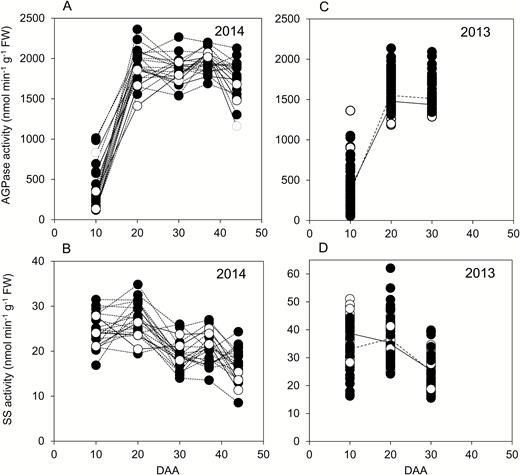 Enzyme activities through grain development. Values represented by each point are as described in Fig. 2. Full datasets including the genotype designations and measures of variance are provided in Supplementary Table S1. DAA, days after anthesis. (A) AGPase and (B) starch synthase (SS) activities for genotypes grown in 2014. Black symbols and dashed lines are landraces; white symbols and solid lines are elite cultivars. ((C) AGPase and (D) SS activities for genotypes grown in 2013. Symbols are as for (A, B); solid lines join mean values for elite cultivars; dashed lines join mean values for landraces.