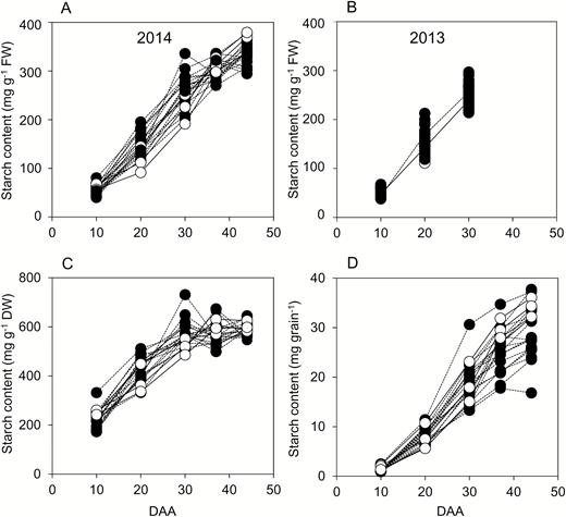 Starch contents through grain development. Values represented by each point are as described in Fig. 2. Full datasets including the genotype designations and measures of variance are provided in Supplementary Table S1. DAA, days after anthesis. Black symbols and dashed lines are landraces; white symbols and solid lines are elite cultivars. (A) Starch content on a FW basis for genotypes grown in 2014. (B) Starch content on a FW basis for genotypes grown in 2013 (the solid line joins mean values for elite cultivars; the dashed line joins mean values for landraces). (C) Starch content on a DW basis for genotypes grown in 2014. (D), Starch content on a per-grain basis for genotypes grown in 2014.