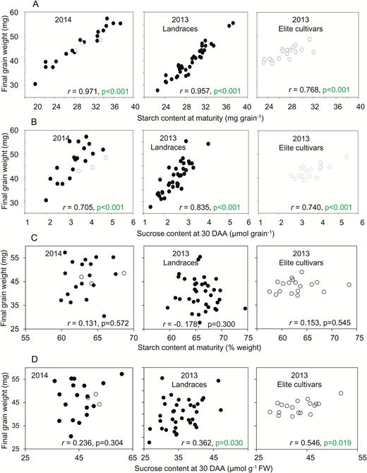 Relationships between final grain weight and carbohydrate contents. A subset of the data is plotted. Values are means taken from Supplementary Table S1, which also provides full datasets including the genotype designations and measures of variance. The same values are also displayed in different contexts in Fig. 5 (sucrose content), and Supplementary Figs S1, S2 (final grain weight and starch content at maturity, respectively). Black symbols are landraces; white symbols are elite cultivars. Pearson’s correlation coefficient (r) is indicated, with n=21; P-values (F-test) are in indicated where P<0.05 (i.e. where no value is shown, P>0.05) (see Supplementary Table S2). (A, C) Correlations between final grain weight and starch content expressed (A) on a per-grain basis and (C) on a weight basis for the mixture of genotypes grown in 2014, landraces grown in 2013, and elite cultivars grown in 2013. (B, D) Correlations between final grain weight and sucrose content expressed (B) on a per-grain basis and (D) on a weight basis for the same lines as in (A, B).