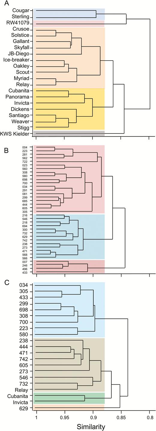 Dendrograms illustrating similarities between genotypes. The dendrograms are derived from similarity matrices constructed for the 21 genotypes used in 2014 and the 21 elite cultivars and 36 landraces used in 2013. Euclidean distance measures of similarity were used to reduce the 21 × 68 data matrix from 2014 and the 21 × 44 (elite cultivars) and 36 × 44 (landraces) data matrices for 2013 to 21 × 21 and 36 × 36 similarity matrices. The coloured blocks distinguish genotypes clustered with a similarity value <0.88. For landraces, the nomenclature is abbreviated by removal of the initial 1190 common to all genotypes (see Supplementary Table S1). (A) Elite cultivars grown in 2013, (B) landraces grown in 2013, and (C) the mixture of genotypes grown in 2014.
