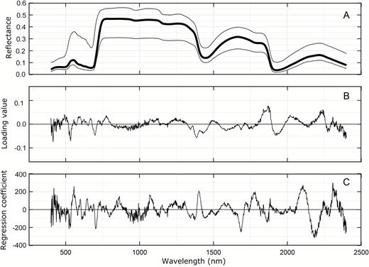 (A) Reflectance from Aus1, Aus2, Aus3, and Mex1 experiments (n=565) from 400 to 2400 nm. The bold line is the mean and the range is given by the upper and lower lines. (B) Loadings and (C) regression coefficients of the model for Vcmax25 with 18 components.