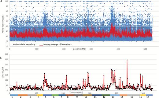 Distribution of allele frequency and density of variants specific to the weeping pool. (A) Distribution of allele frequency of 84562 variants. (B) Distribution of density of 18604 variants of allele frequency ranging from 40% to 60%. The colored bar at the bottom represents the assembled reference genome of 17 chromosomes as numbered. Based on z-score test, significant variant density peaks were detected on seven chromosomes, including 5 (z=4.0, P=6.4 × 10−5), 8 (z=3.4, P=6.7 × 10−4), 10 (z=4.2, P=2.6 × 10−5), 12 (z=3.4, P=6.7 × 10−4), 13 (z=5.1, P=3.4 × 10−6), 14 (z=7.9, P=0), and 16 (z=3.8, P=1.4 × 10−4).