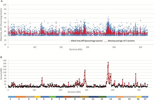 Distribution of allele frequency directional difference (AFDD) and density of variants common to both pools on the apple reference genome. (A) Distribution of AFDD of the 6377 variants of AFDD ≥30 percentage points between the weeping and standard pools. (B) Distribution of density of the 6377 variants. The colored bar at the bottom represents the assembled reference genome of 17 chromosomes as numbered. Significant variant density peaks were identified on chromosomes 13 (z=8.7, P=0), 10 (z=5.7, P=1.2 × 10−8), 16 (z=4.4, P=1.1 × 10−5), and 5 (z=2.9, P=3.7 × 10−3).