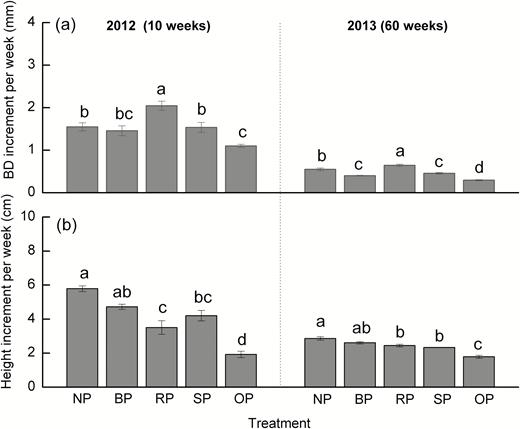 Weekly increments of (a) basal stem diameter (BD) and (b) tree height of C. lanceolata in each treatment as defined in Fig. 1, based on measurements taken 10 weeks and 60 weeks after first pruning. Data are means (±SE), n=4. Different letters indicate significant differences among the pruning treatments at each time according to Tukey’s tests (P<0.05).
